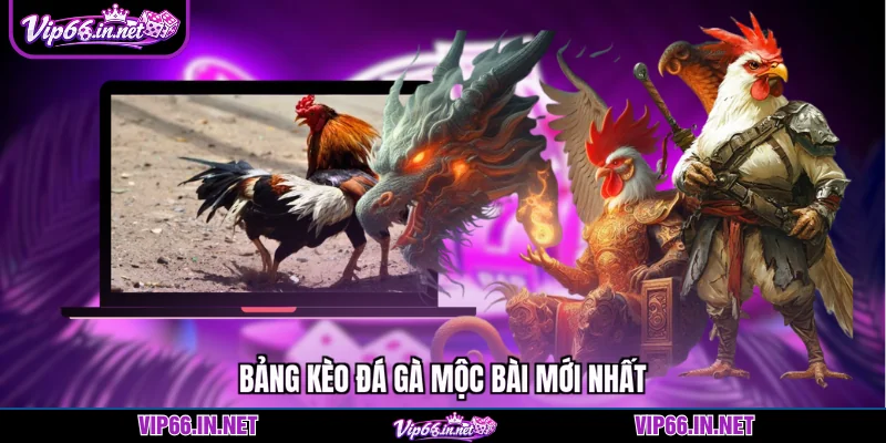Đá gà mộc bài VIP66 kèo chuẩn, trả thưởng cao 2026
