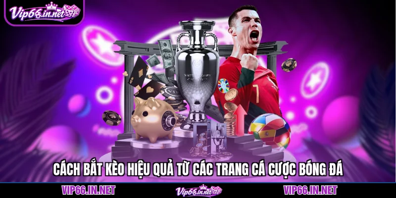 Trang cá cược bóng đá VIP66 - sân chơi uy tín 2026
