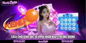 Vip66 - Link Tải App Android/IOS Vip66.com Chính Thức 2026