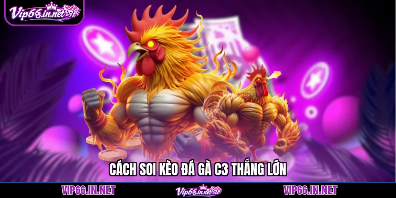 Đá gà c3 VIP66 kịch tính với tỷ lệ thắng lớn 2026
