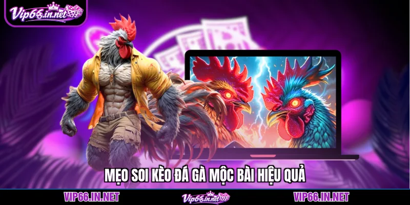 Đá gà mộc bài VIP66 kèo chuẩn, trả thưởng cao 2026