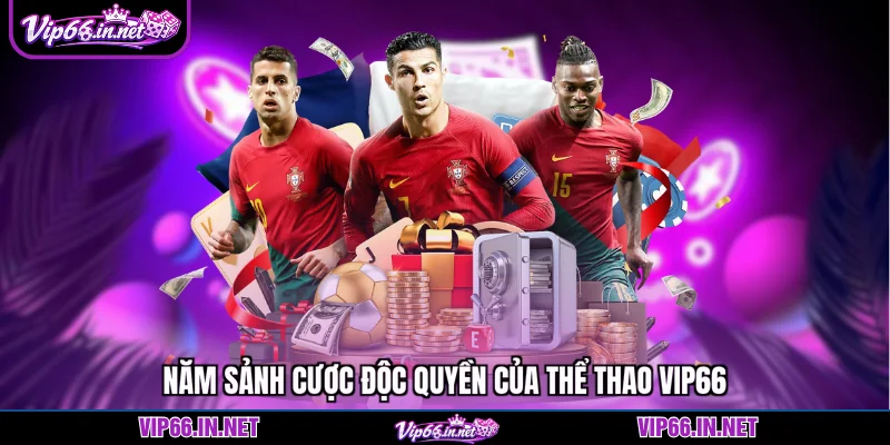 Thể thao VIP66 - Trải nghiệm 5 sảnh cược đẳng cấp