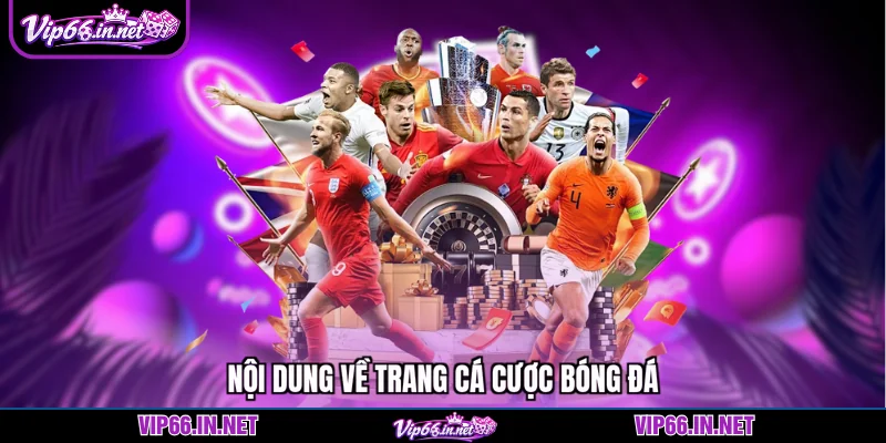 Trang cá cược bóng đá VIP66 - sân chơi uy tín 2026