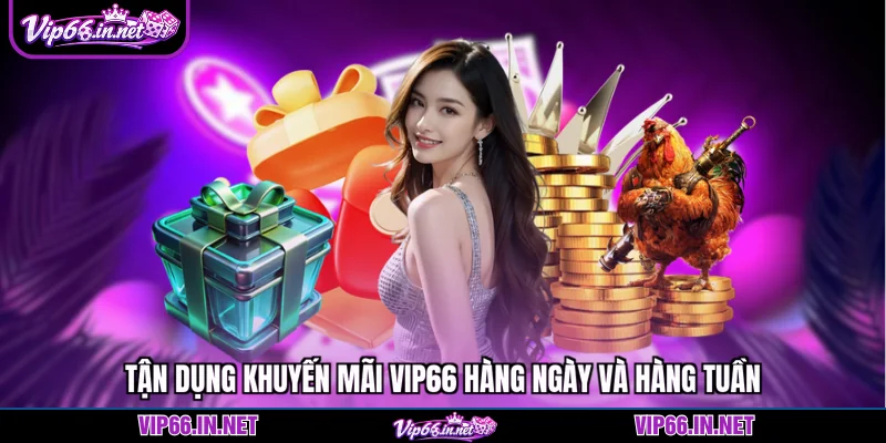Khuyến mãi VIP66 2026 vốn mồi khởi nghiệp cực lớn