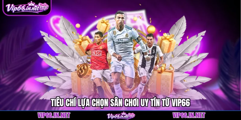 Trang cá cược bóng đá VIP66 - sân chơi uy tín 2026