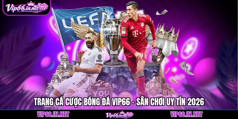 Trang cá cược bóng đá VIP66 - sân chơi uy tín 2026