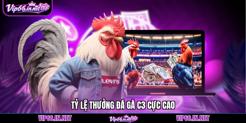 Đá gà c3 VIP66 kịch tính với tỷ lệ thắng lớn 2026