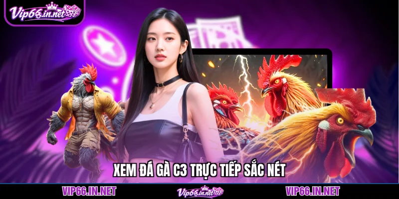 Đá gà c3 VIP66 kịch tính với tỷ lệ thắng lớn 2026